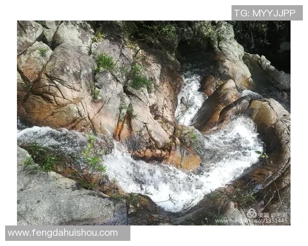 深度分析深圳攀岩队的区域防守战术及其战绩影响